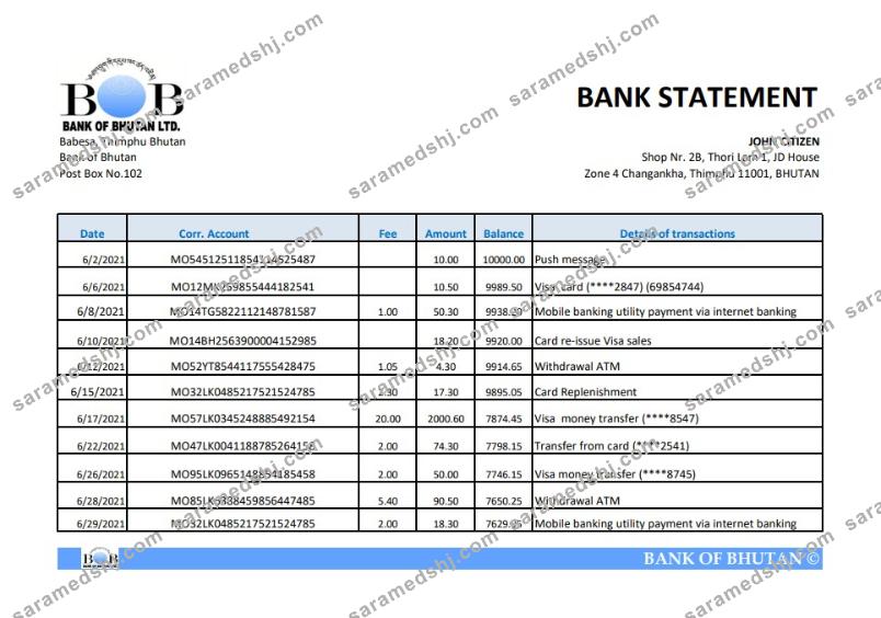 Bhutan Bank of Bhutan bank statement easy to fill template in Excel and PDF format